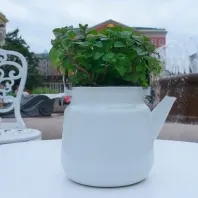 зрізи суспільства