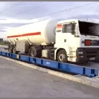 зрізи суспільства