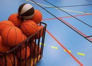 Спортивне покриття для спортивних залів - основні різновиди (спортивне) Спортивне покриття для спортивних залів - основні різновиди