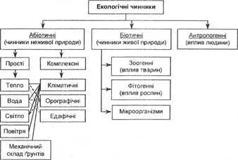 Навколишнє середовище рослин, екологічні фактори - екологічна фізіологія рослин (лекції) Навколишнє середовище рослин, екологічні фактори - екологічна фізіологія рослин