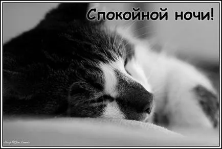 На добраніч картинки, сайт фотографій, картинок і анімацій (спокійній) На добраніч картинки, сайт фотографій, картинок і анімацій