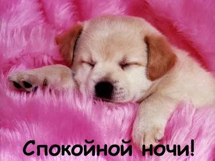 На добраніч картинки, сайт фотографій, картинок і анімацій (спокійній) На добраніч картинки, сайт фотографій, картинок і анімацій