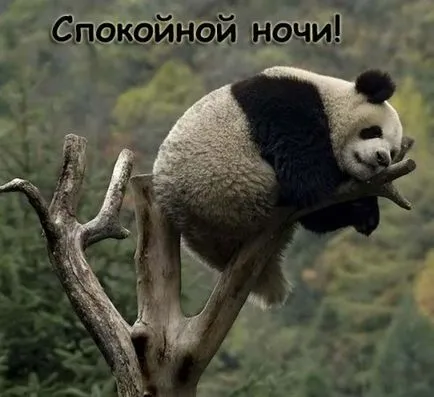 На добраніч картинки, сайт фотографій, картинок і анімацій (спокійній) На добраніч картинки, сайт фотографій, картинок і анімацій