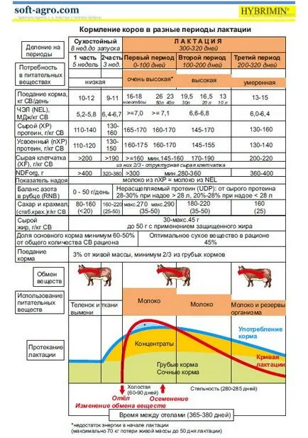 Статті про годівлю ВРХ на, годування корів в різні періоди лактації (годування корів) Статті про годівлю ВРХ на, годування корів в різні періоди лактації