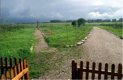 Будівництво дороги до дачній ділянці (дороги) Будівництво дороги до дачній ділянці