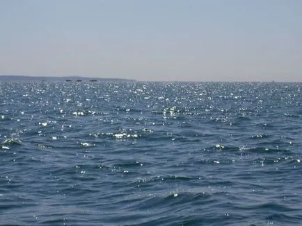 Вірші про любов і море