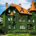 Фасади дачних будинків (41 фото) відео-інструкція по обробці своїми руками, ремонт, фото (фасади дачних будинків обробка ремонт своїми руками) Фасади дачних будинків (41 фото) відео-інструкція по обробці своїми руками, ремонт, фото