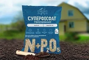 Фосфорні добрива для томатів