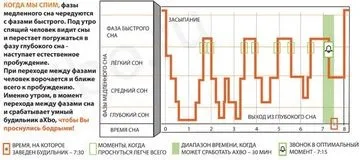 Фази сну коли краще прокидатися - модна красива (фази) Фази сну коли краще прокидатися - модна красива