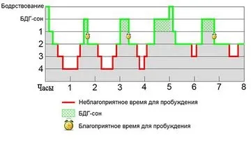 Фази сну коли краще прокидатися - модна красива (фази) Фази сну коли краще прокидатися - модна красива