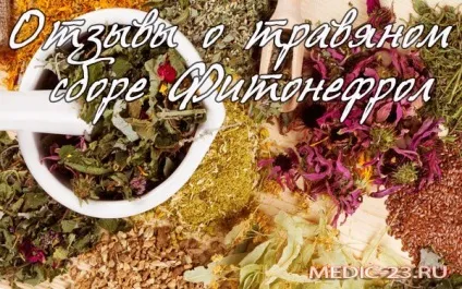 Фітонефрол відгуки про дієвість збору, формах випусках і способах застосування (фітонефрол) Фітонефрол відгуки про дієвість збору, формах випусках і способах застосування