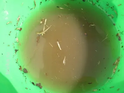 Фільтр для води з піску своїми руками (води) Фільтр для води з піску своїми руками