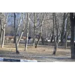 Суботник відбувся!
