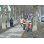 Суботник відбувся!