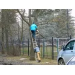 Суботник відбувся!
