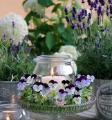 Весілля в стилі фентезі - фото та поради (фентезі) Весілля в стилі фентезі - фото та поради