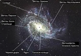 Суть життя, її форми - студопедія