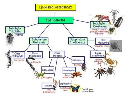 Суть життя, її форми - студопедія