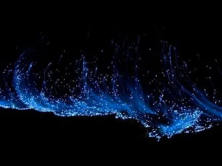 Світиться планктон (мальдівські острова) 1 (острова) Світиться планктон (мальдівські острова) 1