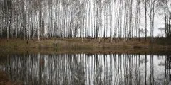 Там за хабар можна все »що Лукашенко розповів журналістам оУкаіни (можна) Там за хабар можна все »що Лукашенко розповів журналістам оУкаіни