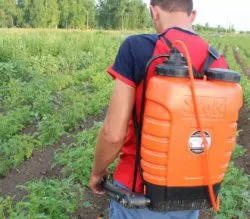 Танрек від колорадського жука інструкція із застосування, відгуки (жука) Танрек від колорадського жука інструкція із застосування, відгуки