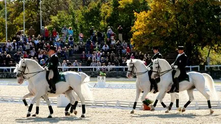 Таємниця Пегаса, Керкінітида євпаторія історія з давніх часів, до наших днів відпочинок і лікування в (стародавніх) Таємниця Пегаса, Керкінітида євпаторія історія з давніх часів, до наших днів відпочинок і лікування в