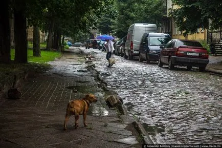 Так живуть переможці