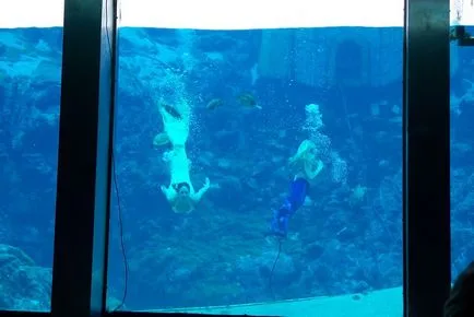 Так чи існують русалки (10 фото) - waterworld, водний світ - інтернет журнал (водний світ) Так чи існують русалки (10 фото) - waterworld, водний світ - інтернет журнал