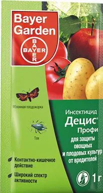 Попелиця на огірках в теплиці як боротися, як знищити тлю (огірках) Попелиця на огірках в теплиці як боротися, як знищити тлю