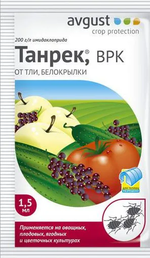 Попелиця на огірках в теплиці як боротися, як знищити тлю (боротися) Попелиця на огірках в теплиці як боротися, як знищити тлю