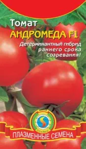 Томат «чагарник» характеристика та опис сорту (сорти) Томат «чагарник» характеристика та опис сорту