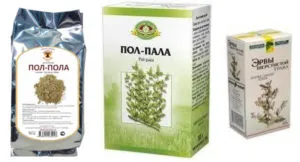 Трава пол статі при каменях в нирках властивості, рецепти (вивести нирок камені) Трава пол статі при каменях в нирках властивості, рецепти