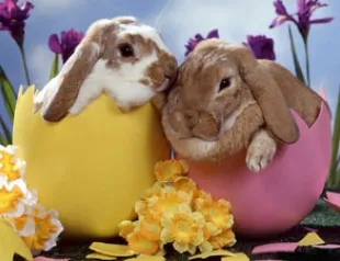 Топ 7 алкогольних коктейлів з червоним вином (ФОТО Новини бізнесу) Топ 7 алкогольних коктейлів з червоним вином
