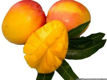 Torakid - цікаві плоди