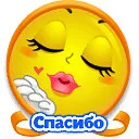 Трикотаж - мережа магазинів жіночого одягу