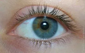 Туш для вій avon spectra lash повний спектр відгук (макіяж очей) Туш для вій avon spectra lash повний спектр відгук