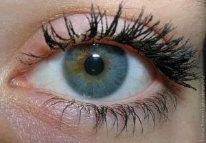 Туш для вій avon spectra lash повний спектр відгук (туш avon spectra lash) Туш для вій avon spectra lash повний спектр відгук
