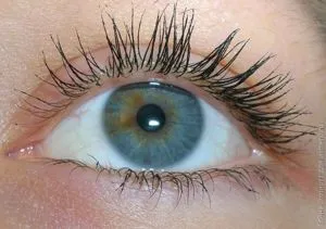 Туш для вій avon spectra lash повний спектр відгук (туш avon) Туш для вій avon spectra lash повний спектр відгук