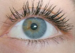 Туш для вій avon spectra lash повний спектр відгук (макіяж очей) Туш для вій avon spectra lash повний спектр відгук