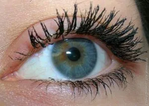 Туш для вій avon spectra lash повний спектр відгук (lash) Туш для вій avon spectra lash повний спектр відгук
