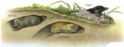 Три місця існування
