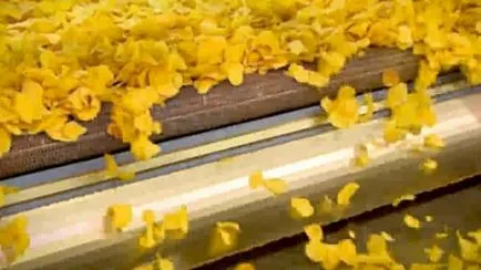 Вчені збираються робити чіпси з медуз - свіжі останні новостіУкаіни сьогодні (чіпси) Вчені збираються робити чіпси з медуз - свіжі останні новостіУкаіни сьогодні