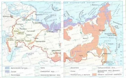 Тундра (Плешаков, Крючкова, робочий зошит 4 клас 1 частина) (навколишній світ) Тундра (Плешаков, Крючкова, робочий зошит 4 клас 1 частина)