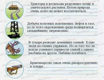 Тундра (Плешаков, Крючкова, робочий зошит 4 клас 1 частина) (зошит) Тундра (Плешаков, Крючкова, робочий зошит 4 клас 1 частина)