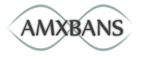установка amxbans