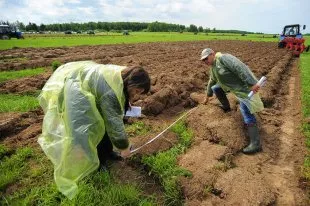 У Луганську дозволять ставити кіоски без оформлення землі - українська газета (ставити) У Луганську дозволять ставити кіоски без оформлення землі - українська газета