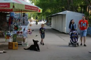 У Луганську дозволять ставити кіоски без оформлення землі - українська газета (Челябінську) У Луганську дозволять ставити кіоски без оформлення землі - українська газета