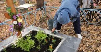 Догляд за пам'ятниками з граніту (догляд) Догляд за пам'ятниками з граніту