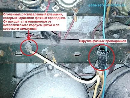 Жахи поверхових щитів (жахи) Жахи поверхових щитів