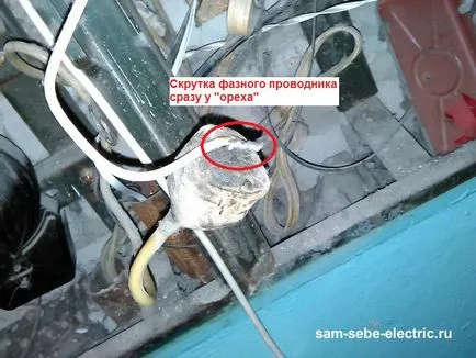 Жахи поверхових щитів (жахи поверхових щитів) Жахи поверхових щитів